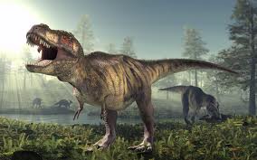 Tyrannosaurus rex (T-Rex)