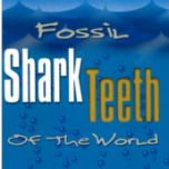 Fossil Shark Teeth of the World by Joe Cocke