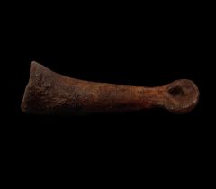 Anzu toe bone | Buried Treasure Fossils