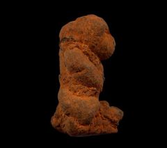 Real Coprolites for sale |: Buried Treasure Fossils