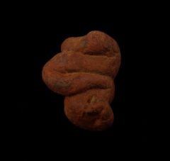 Real Coprolites for sale |: Buried Treasure Fossils